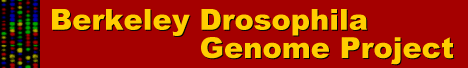 Homepage